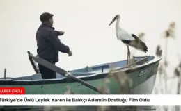 Türkiye’de Ünlü Leylek Yaren ile Balıkçı Adem’in Dostluğu Film Oldu