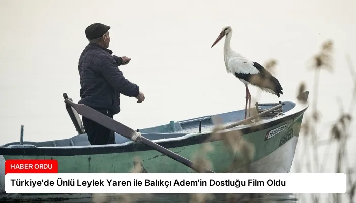 Türkiye’de Ünlü Leylek Yaren ile Balıkçı Adem’in Dostluğu Film Oldu