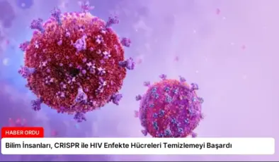 Bilim İnsanları, CRISPR ile HIV Enfekte Hücreleri Temizlemeyi Başardı