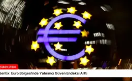 Sentix: Euro Bölgesi’nde Yatırımcı Güven Endeksi Arttı