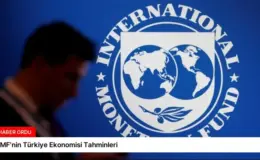 IMF’nin Türkiye Ekonomisi Tahminleri