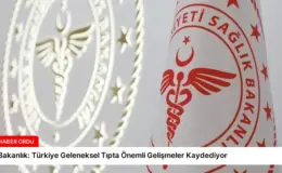 Bakanlık: Türkiye Geleneksel Tıpta Önemli Gelişmeler Kaydediyor