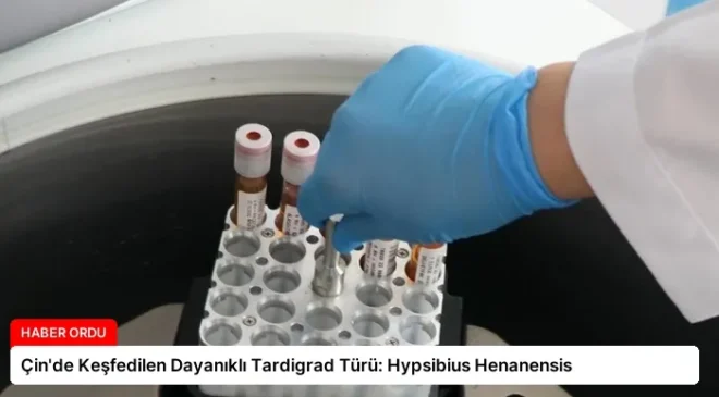 Çin’de Keşfedilen Dayanıklı Tardigrad Türü: Hypsibius Henanensis