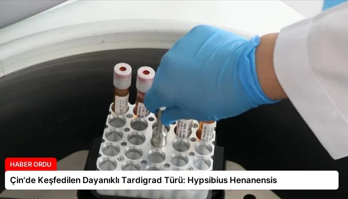 Çin’de Keşfedilen Dayanıklı Tardigrad Türü: Hypsibius Henanensis