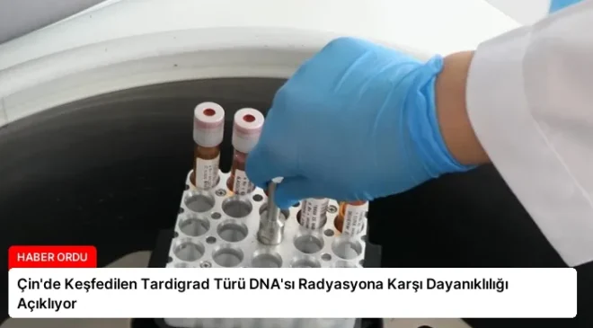 Çin’de Keşfedilen Tardigrad Türü DNA’sı Radyasyona Karşı Dayanıklılığı Açıklıyor