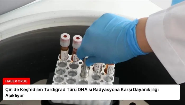 Çin’de Keşfedilen Tardigrad Türü DNA’sı Radyasyona Karşı Dayanıklılığı Açıklıyor