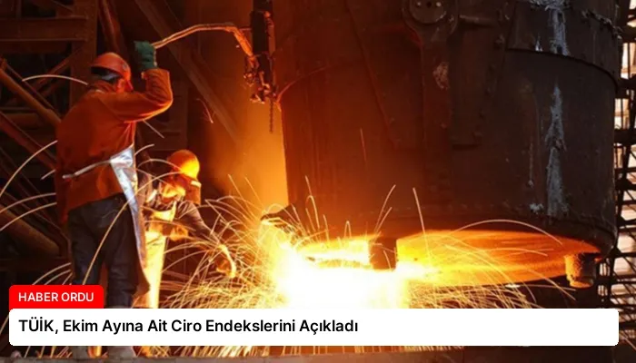 TÜİK, Ekim Ayına Ait Ciro Endekslerini Açıkladı