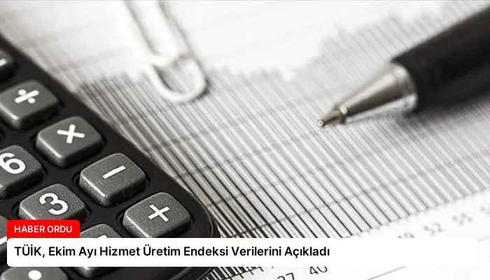 TÜİK, Ekim Ayı Hizmet Üretim Endeksi Verilerini Açıkladı