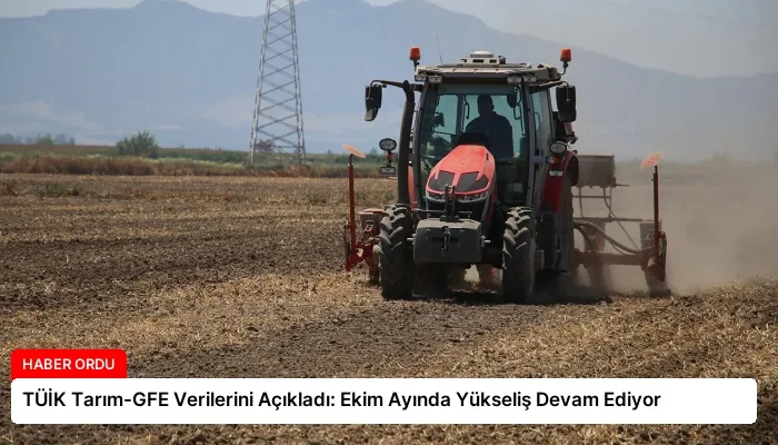 TÜİK Tarım-GFE Verilerini Açıkladı: Ekim Ayında Yükseliş Devam Ediyor