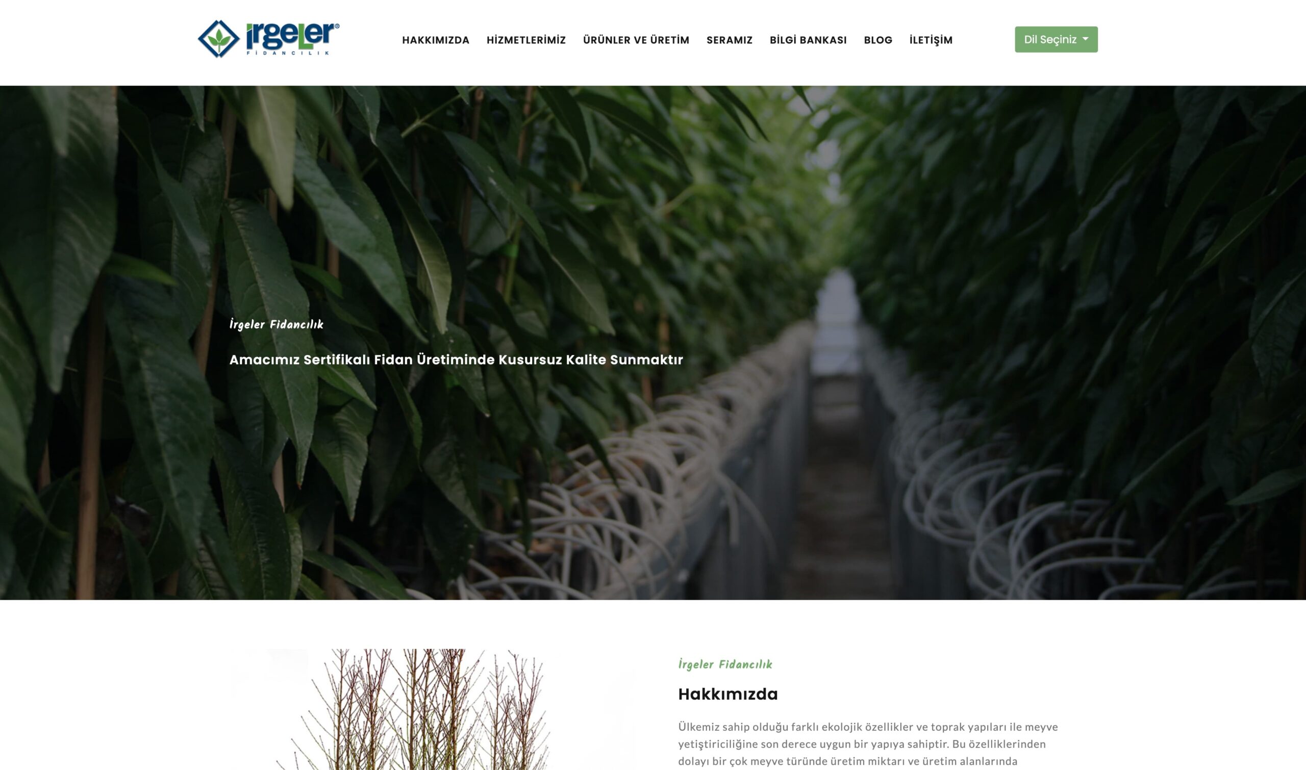 Türkiye’nin Meyve Fidanı Satışında Lider Kuruluşu: İrgeler Fidancılık