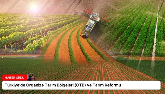 Türkiye’de Organize Tarım Bölgeleri (OTB) ve Tarım Reformu