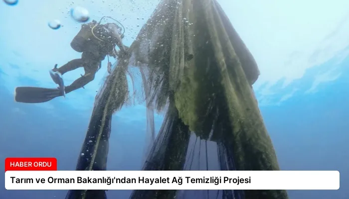 Tarım ve Orman Bakanlığı’ndan Hayalet Ağ Temizliği Projesi