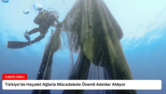 Türkiye’de Hayalet Ağlarla Mücadelede Önemli Adımlar Atılıyor