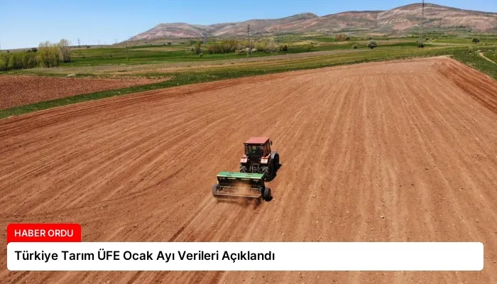 Türkiye Tarım ÜFE Ocak Ayı Verileri Açıklandı