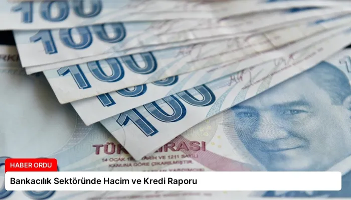 Bankacılık Sektöründe Hacim ve Kredi Raporu