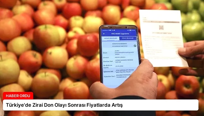 Türkiye’de Zirai Don Olayı Sonrası Fiyatlarda Artış