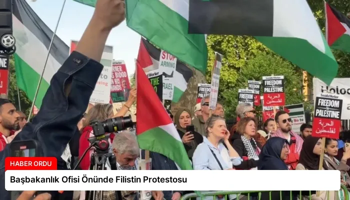 Başbakanlık Ofisi Önünde Filistin Protestosu