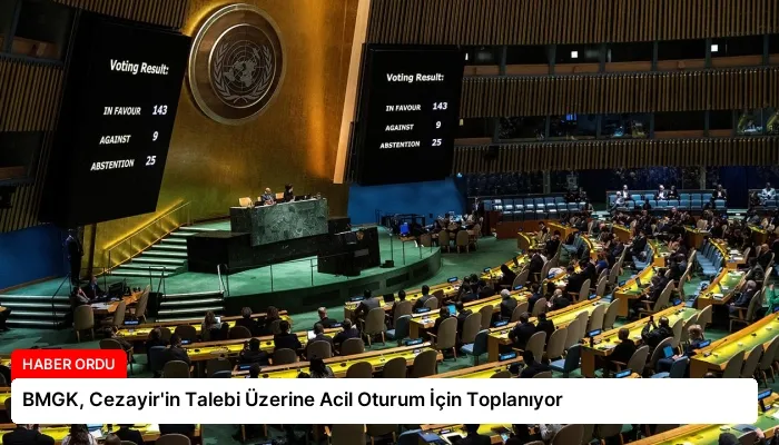 BMGK, Cezayir’in Talebi Üzerine Acil Oturum İçin Toplanıyor