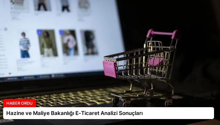 Hazine ve Maliye Bakanlığı E-Ticaret Analizi Sonuçları