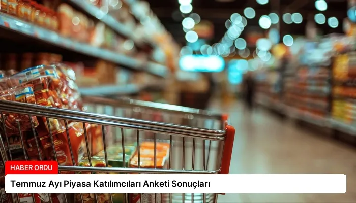 Temmuz Ayı Piyasa Katılımcıları Anketi Sonuçları