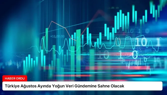 Türkiye Ağustos Ayında Yoğun Veri Gündemine Sahne Olacak
