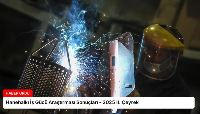 Hanehalkı İş Gücü Araştırması Sonuçları – 2025 II. Çeyrek