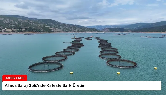 Almus Baraj Gölü’nde Kafeste Balık Üretimi