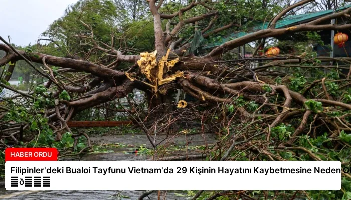 Filipinler’deki Bualoi Tayfunu Vietnam’da 29 Kişinin Hayatını Kaybetmesine Neden Oldu ⏬👇