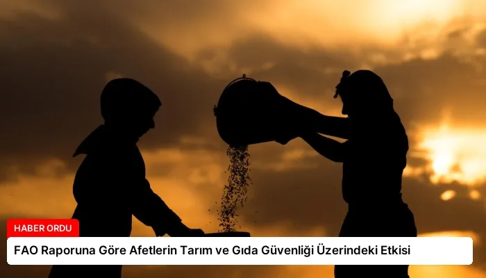 FAO Raporuna Göre Afetlerin Tarım ve Gıda Güvenliği Üzerindeki Etkisi