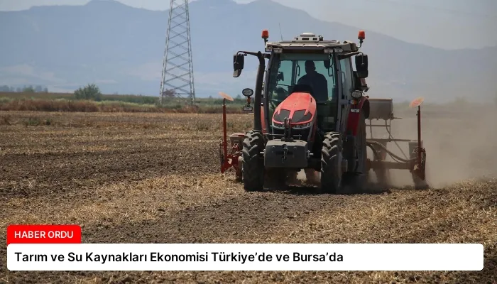 Tarım ve Su Kaynakları Ekonomisi Türkiye’de ve Bursa’da