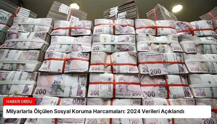 Milyarlarla Ölçülen Sosyal Koruma Harcamaları: 2024 Verileri Açıklandı