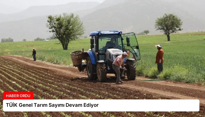TÜİK Genel Tarım Sayımı Devam Ediyor