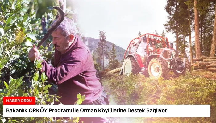 Bakanlık ORKÖY Programı ile Orman Köylülerine Destek Sağlıyor