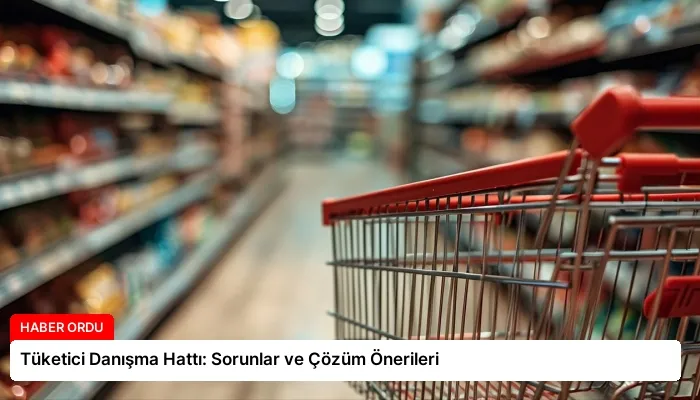 Tüketici Danışma Hattı: Sorunlar ve Çözüm Önerileri