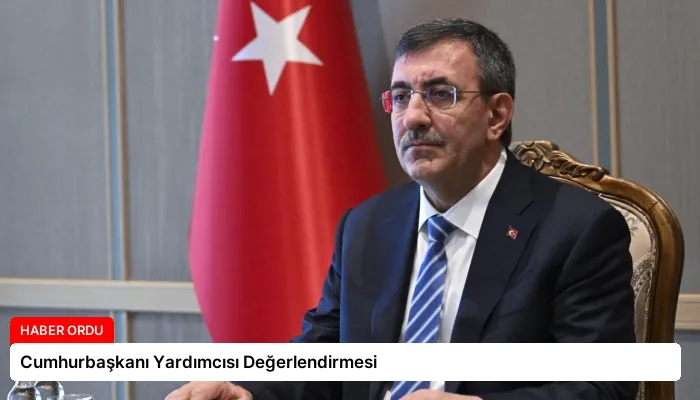 Cumhurbaşkanı Yardımcısı Değerlendirmesi