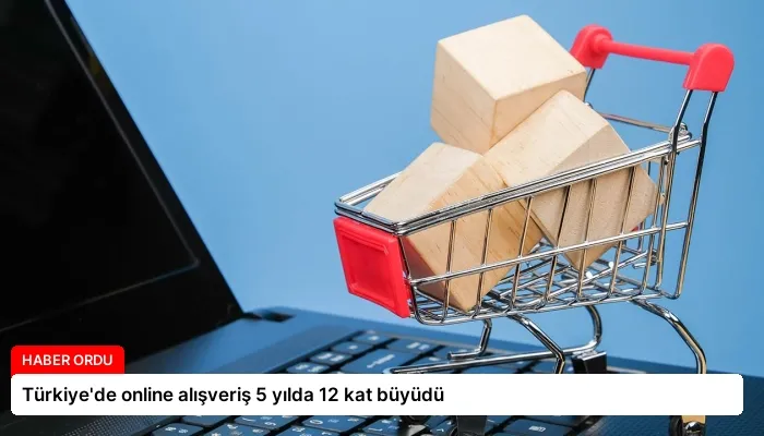 Türkiye’de online alışveriş 5 yılda 12 kat büyüdü