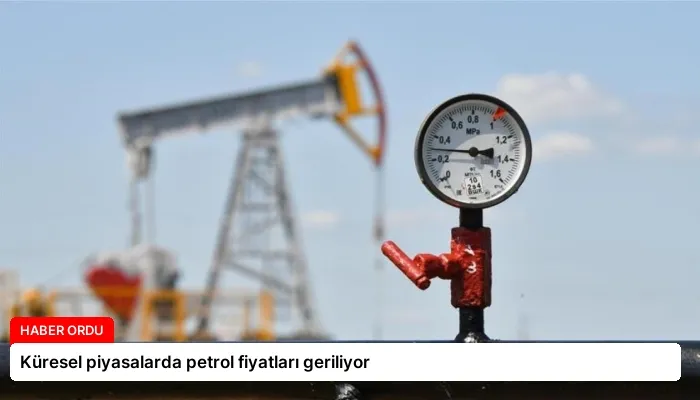 Küresel piyasalarda petrol fiyatları geriliyor