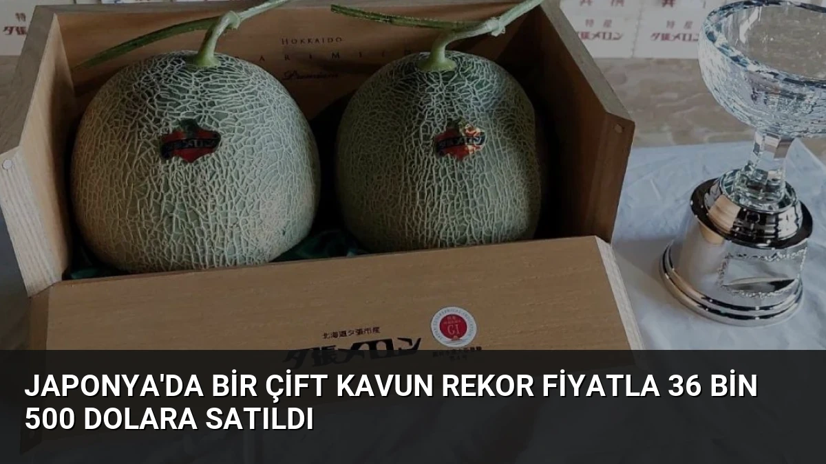 Japonya’da Bir Çift Kavun Rekor Fiyatla 36 Bin 500 Dolara Satıldı