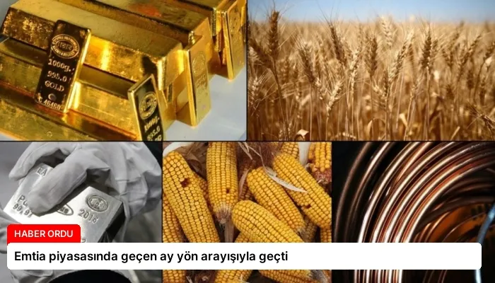 Emtia piyasasında geçen ay yön arayışıyla geçti