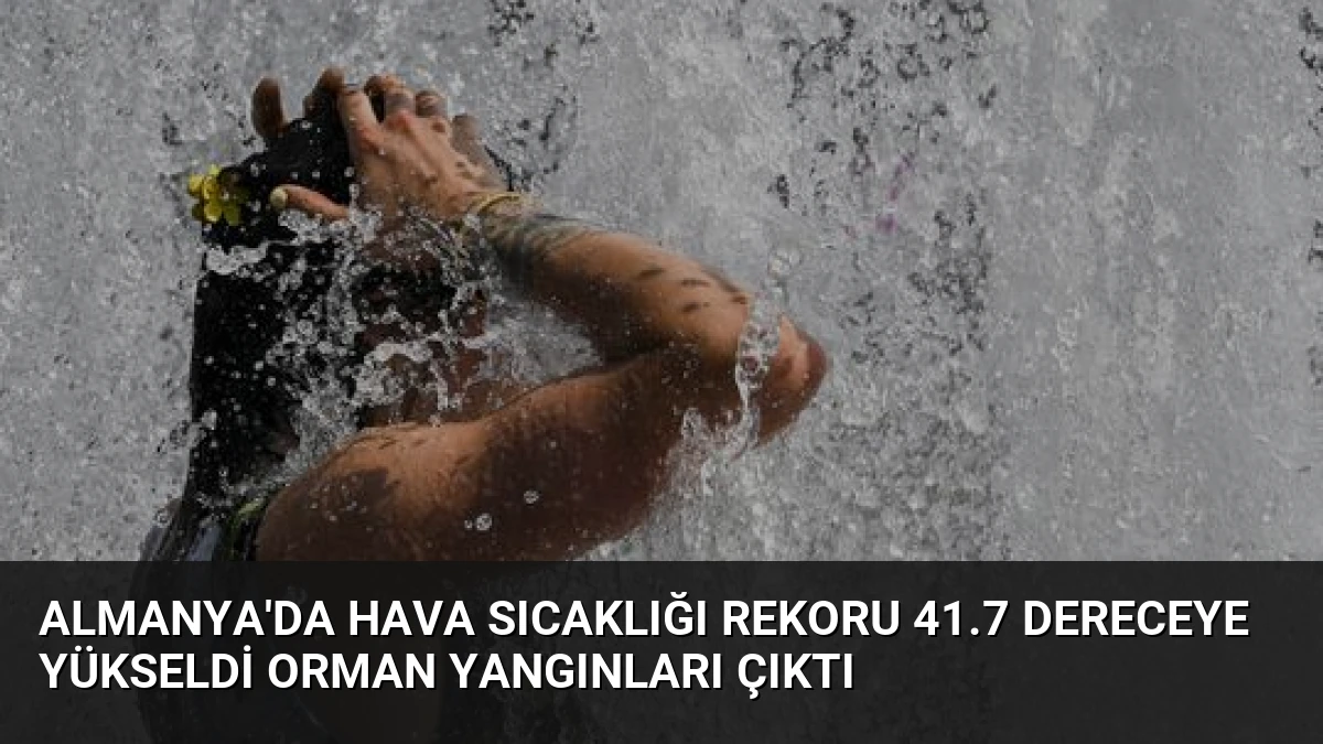 Almanya’da Hava Sıcaklığı Rekoru 41.7 Dereceye Yükseldi Orman Yangınları Çıktı