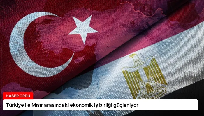 Türkiye ile Mısır arasındaki ekonomik iş birliği güçleniyor