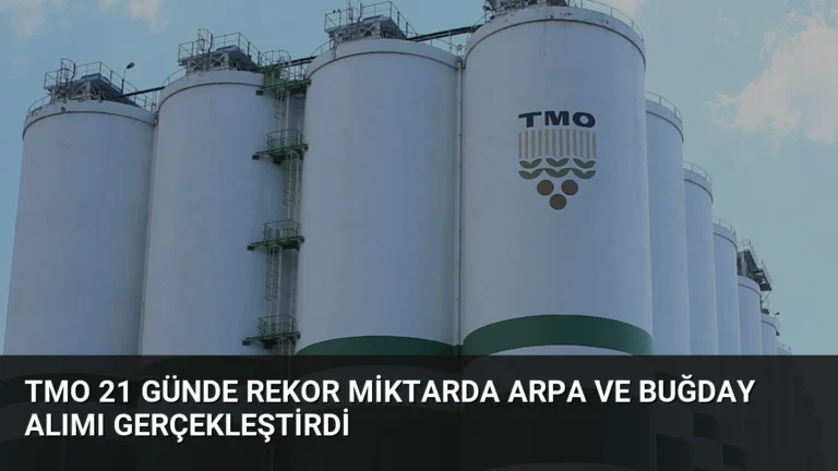 TMO 21 Günde Rekor Miktarda Arpa ve Buğday Alımı Gerçekleştirdi
