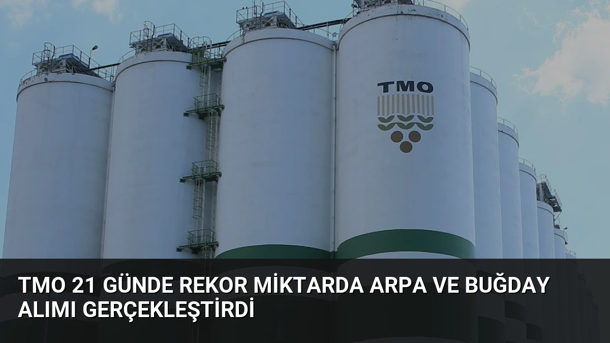 TMO 21 Günde Rekor Miktarda Arpa ve Buğday Alımı Gerçekleştirdi