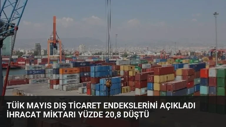 TÜİK Mayıs Dış Ticaret Endekslerini Açıkladı İhracat Miktarı Yüzde 20,8 Düştü
