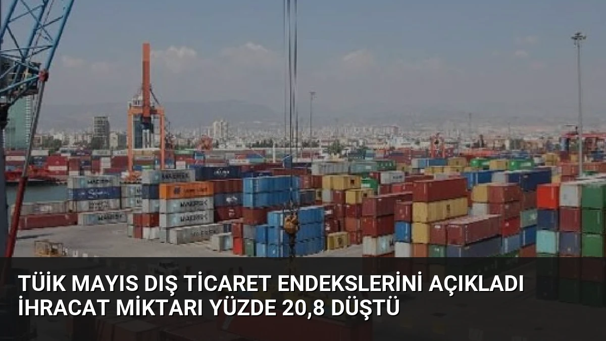TÜİK Mayıs Dış Ticaret Endekslerini Açıkladı İhracat Miktarı Yüzde 20,8 Düştü