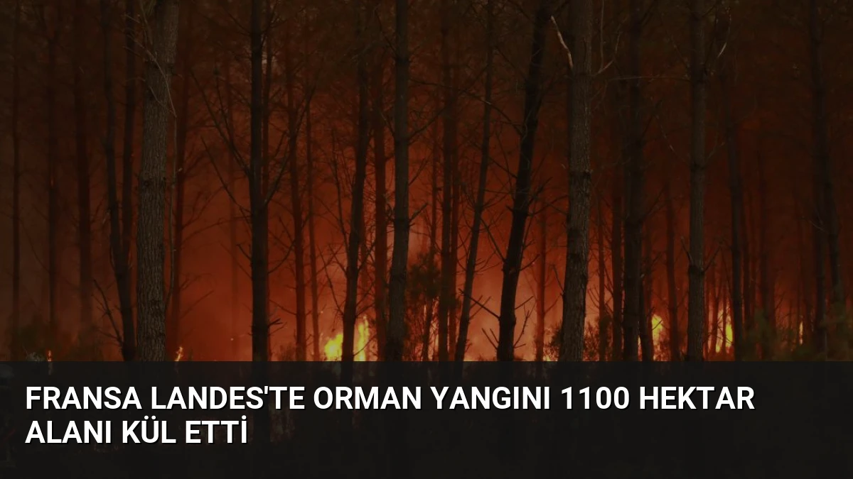 Fransa Landes’te Orman Yangını 1100 Hektar Alanı Kül Etti