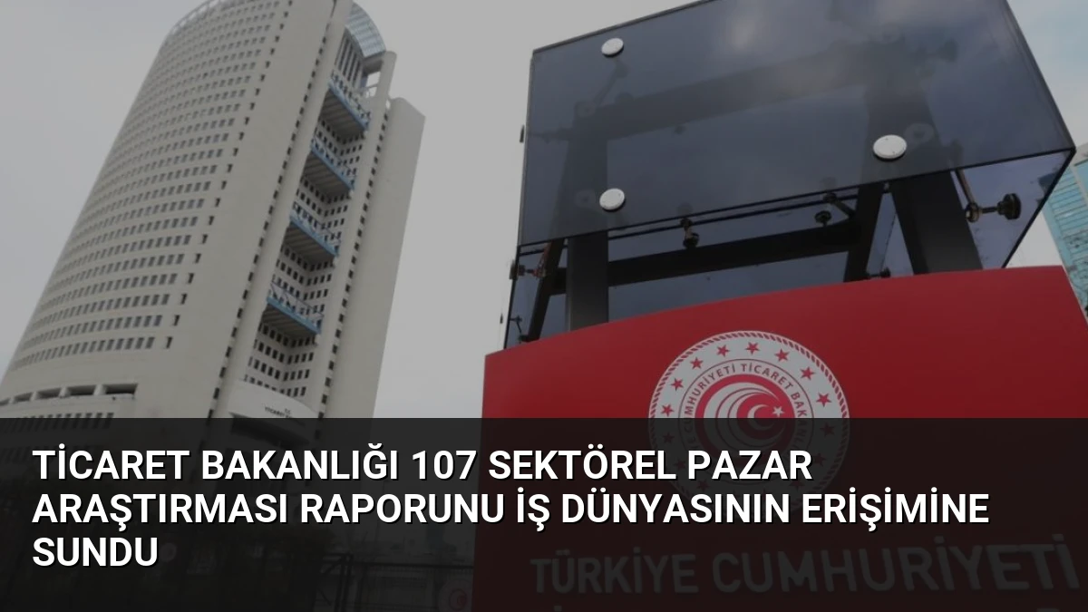 Ticaret Bakanlığı 107 Sektörel Pazar Araştırması Raporunu İş Dünyasının Erişimine Sundu