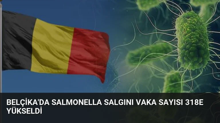 Belçika’da Salmonella salgını vaka sayısı 318e yükseldi