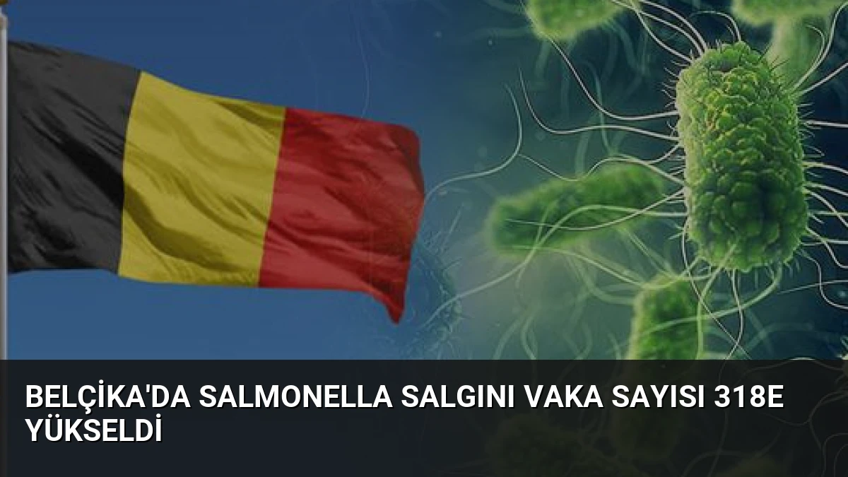 Belçika’da Salmonella salgını vaka sayısı 318e yükseldi
