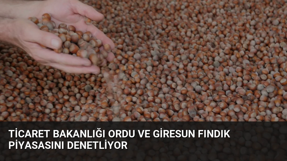 Ticaret Bakanlığı Ordu ve Giresun Fındık Piyasasını Denetliyor